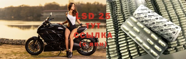 винт Балахна